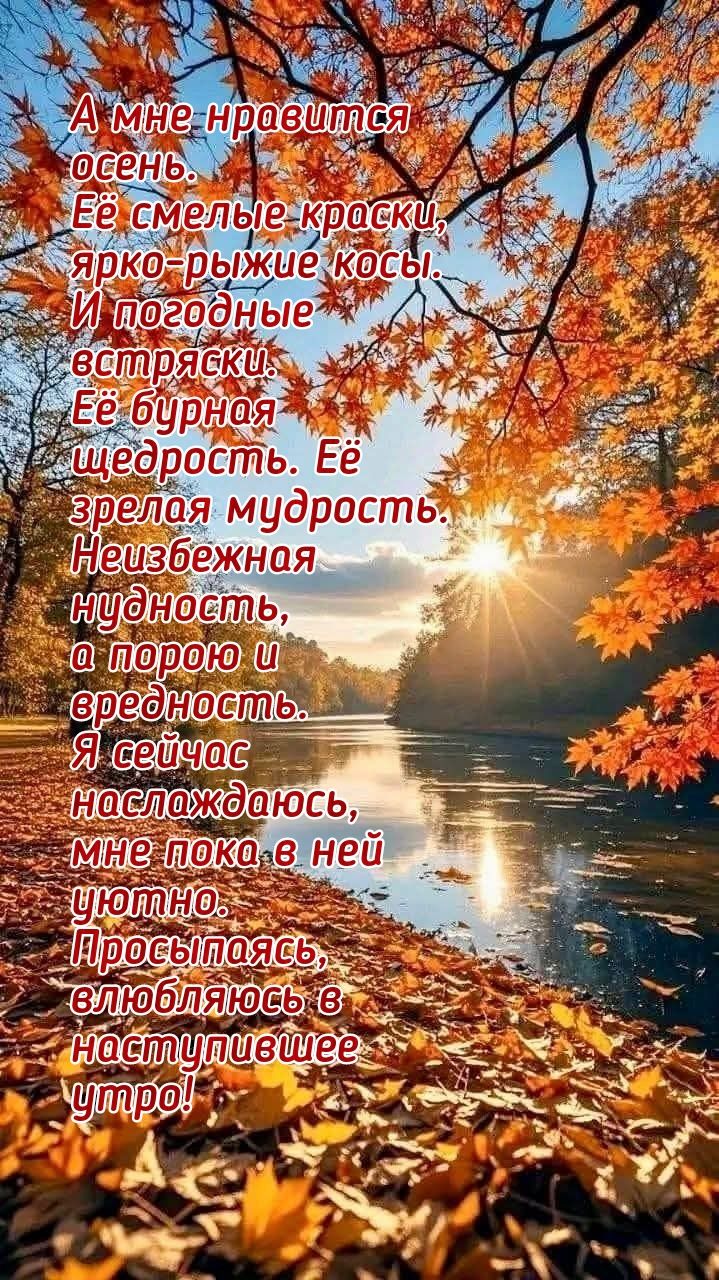 А мне нравится осень.
Её смелые краски, ярко-рыжие косы.
И погодные всплески.
Её бурная щедрость. Её зрелая мудрость.
Неизбежная нудность, а порою и вредность.
Я сейчас наслаждаюсь, мне пока в ней уютно.
Просыпаясь, влюбляюсь в наступившее утро!