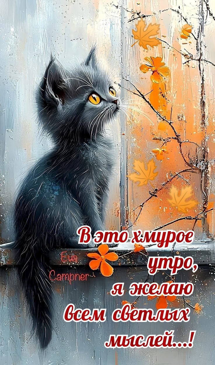 В это хмурое утро, я желаю всем светлых мыслей...!