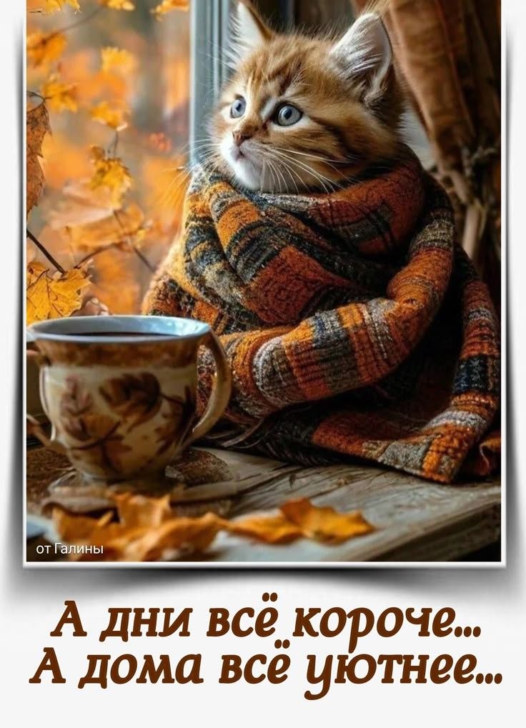 А дни всё короче... А дома всё уютнее...
