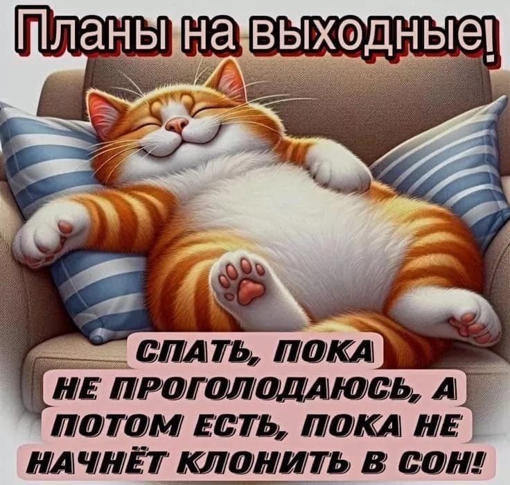 Планы на выходные!
СПАТЬ, ПОКА НЕ ПРОГОЛОДАЮСЬ, А ПОТОМ ЕСТЬ, ПОКА НЕ НАЧНЁТ КЛОНИТЬ В СОН!