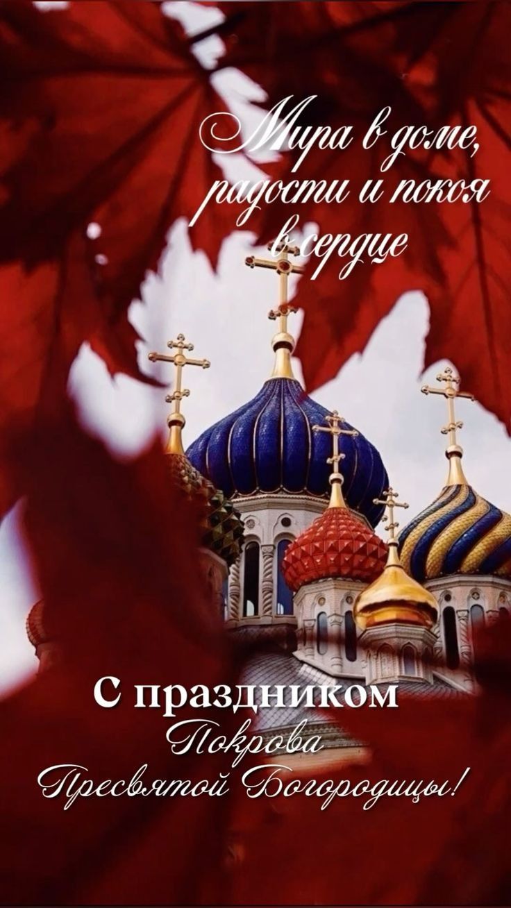 Мира в доме, радости и покоя в сердце
С праздником
Покрова Пресвятой Богородицы!