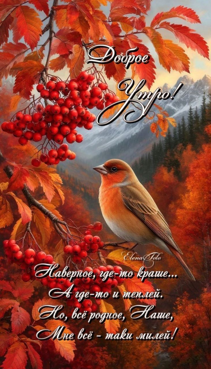 Доброе Утро!
Наверное, где-то краше...
А где-то и теплей.
Но, всё родное, Наше,
Мне всё - таки милей!