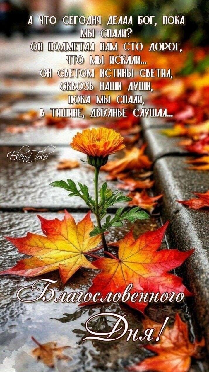 А ЧТО СЕГОДНЯ ДЕЛАЕТ БОГ, ПОКА МЫ СПИМ?
ОН ПОДМЕТАЛ НАМ СТО ДОРОГ,
ЧТО МЫ ИСКАЛИ...
ОН СВЕТОМ ИСТИНЫ СВЕТИЛ,
СКВОЗЬ НАШИ ДУШИ,
ПОКА МЫ СПИМ,
В ТИШИНЕ, ДЫХАНЬЕМ СЛУША...

Благословенного Дня!