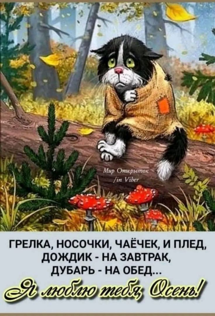 ГРЕЛКА, НОСОЧКИ, ЧАЁЧЕК И ПЛЕД,
ДОЖДИК - НА ЗАВТРАК,
ДУБАРЬ - НА ОБЕД...
Я ЛЮБЛЮ ТЕБЯ, ОСЕНЬ!