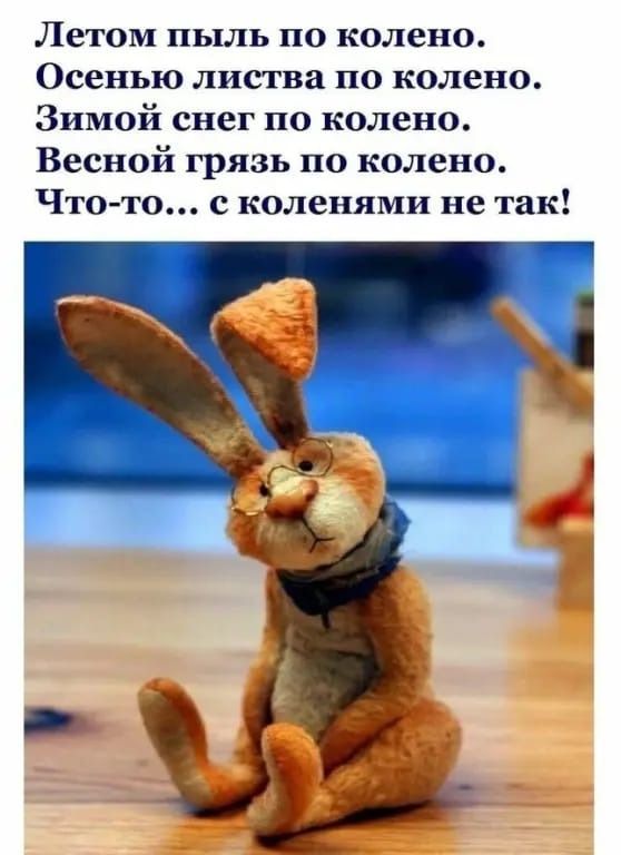 Летом пыль по колено.
Осенью листва по колено.
Зимой снег по колено.
Весной грязь по колено.
Что-то... с коленями не так!