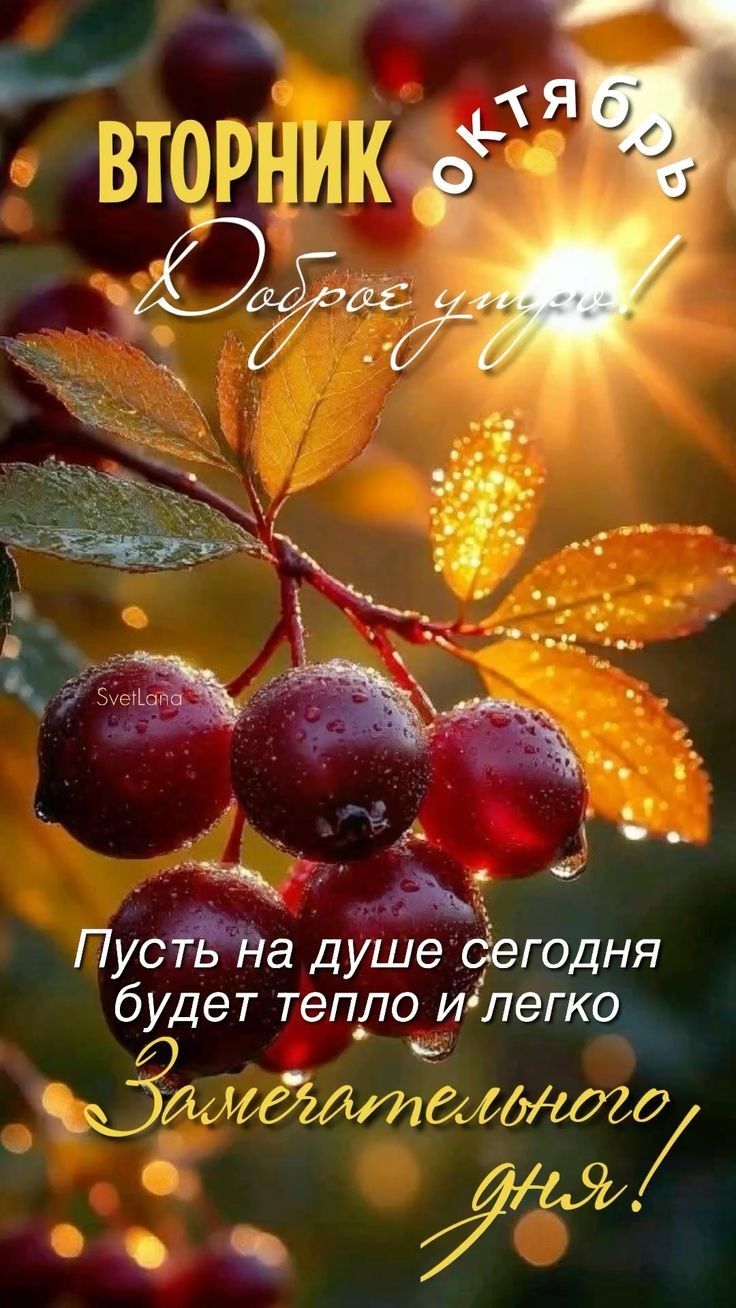 ВТОРНИК ОКТЯБРЬ Доброе утро! Пусть на душе сегодня будет тепло и легко Замечательного дня!