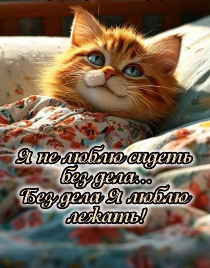 Я не люблю сидеть без дела... Без дела Я люблю лежать!