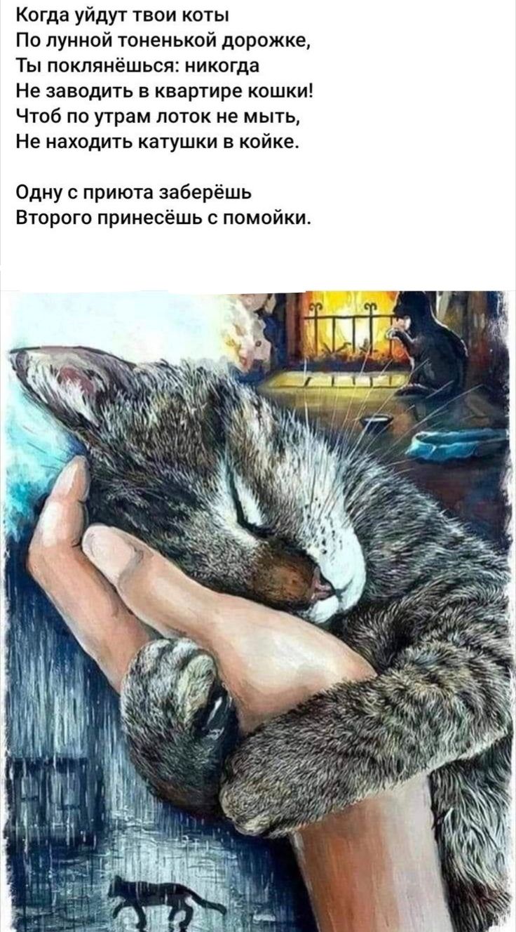 Когда уйдут твои коты\nПо лунной тоненькой дорожке,\nТы поклоняешься: никогда\nНе заводить в квартире кошки!\nЧтоб по утрам лоток не мыть,\nНе находить катушки в койке.\n\nОдну с приюта заберёшь\nВторого принесёшь с помойки.