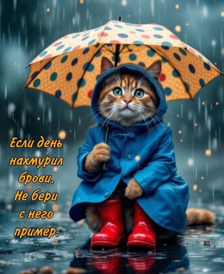 Если день нахмурил брови. Не бери с него пример.