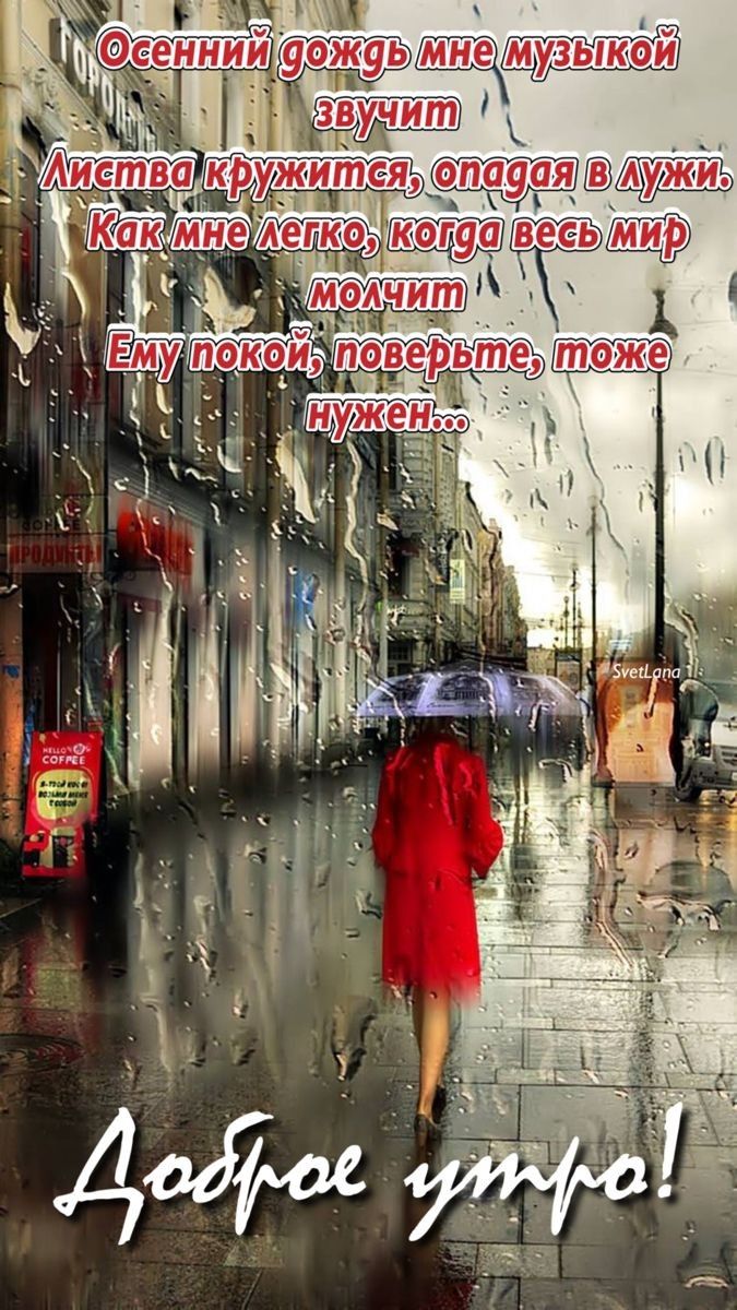 Осенний дождь мне музыкой звучит
Листва кружится, опадая в лужи.
Как мне легко, когда весь мир молчит
Ему покой, поверьте, тоже нужен...
Доброе утро!