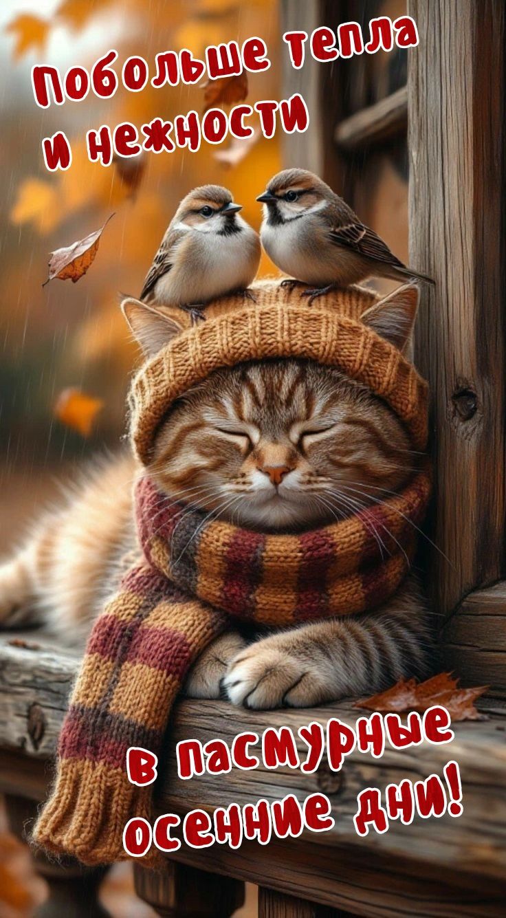 Побольше тепла и нежности
в пасмурные осенние дни!