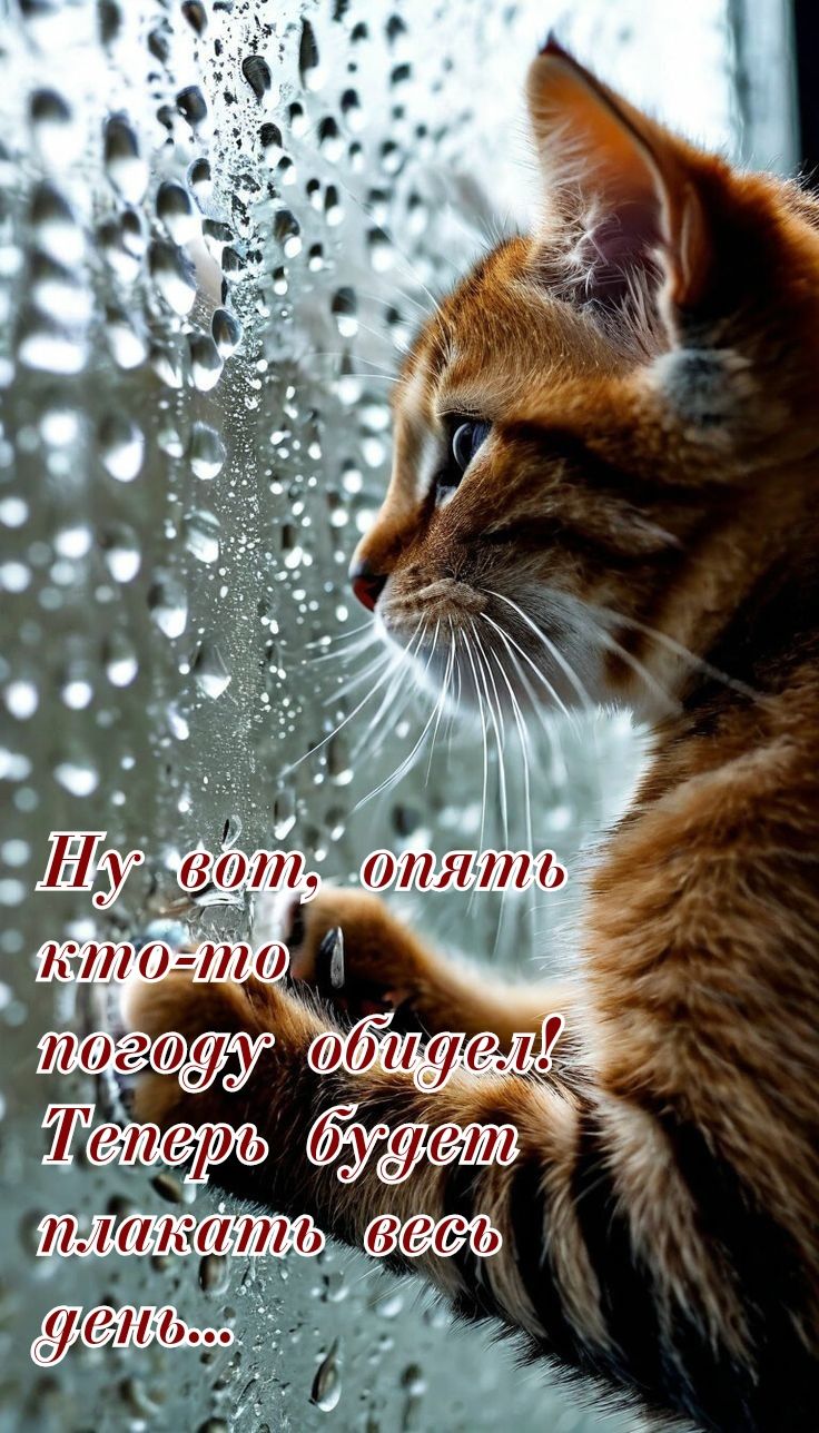 Ну вот, опять кто-то погоду обидел! Теперь будет плакать весь день...