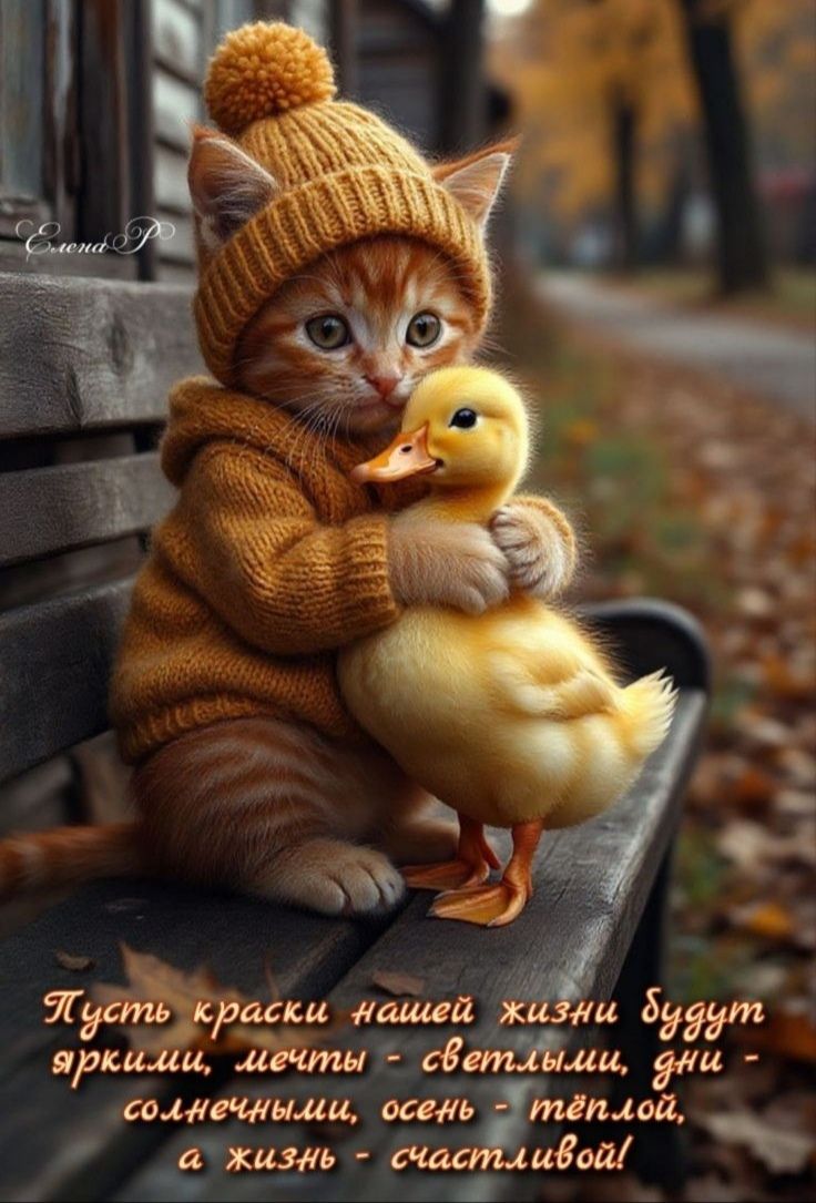 Пусть краски нашей жизни будут яркими, мечты - светлыми, дни - солнечными, осень - тёплой, а жизнь - счастливой!
