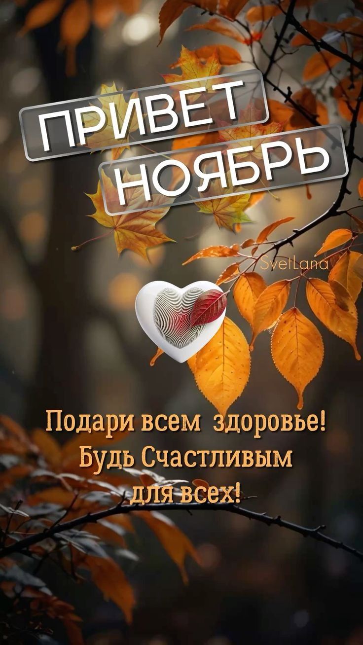 ПРИВЕТ НОЯБРЬ\nПодарИ всем здоровье! Будь Счастливым для всех!
