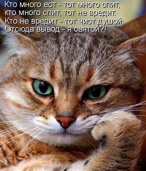 Кто много ест - тот много спит, кто много спит, тот не вредит. Кто не вредит - тот чист душой. Отсюда вывод - я святой?!