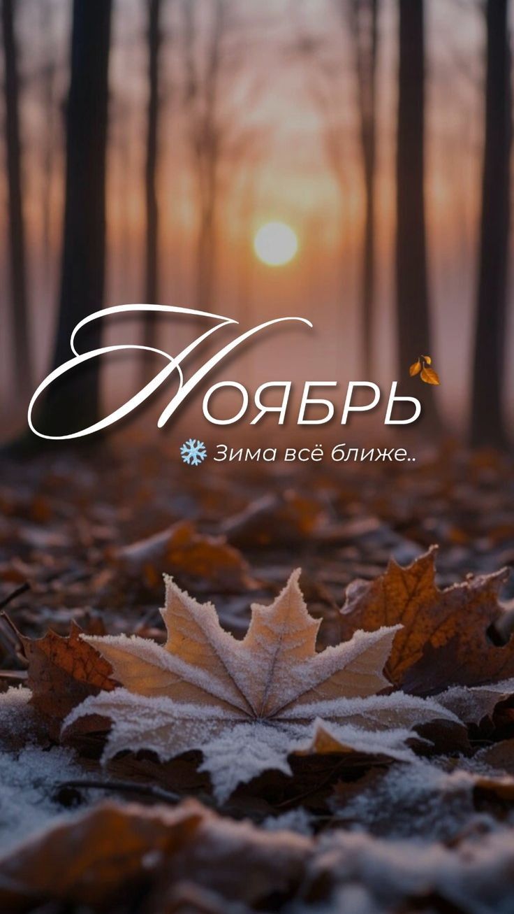 Ноябрь
Зима всё ближе..