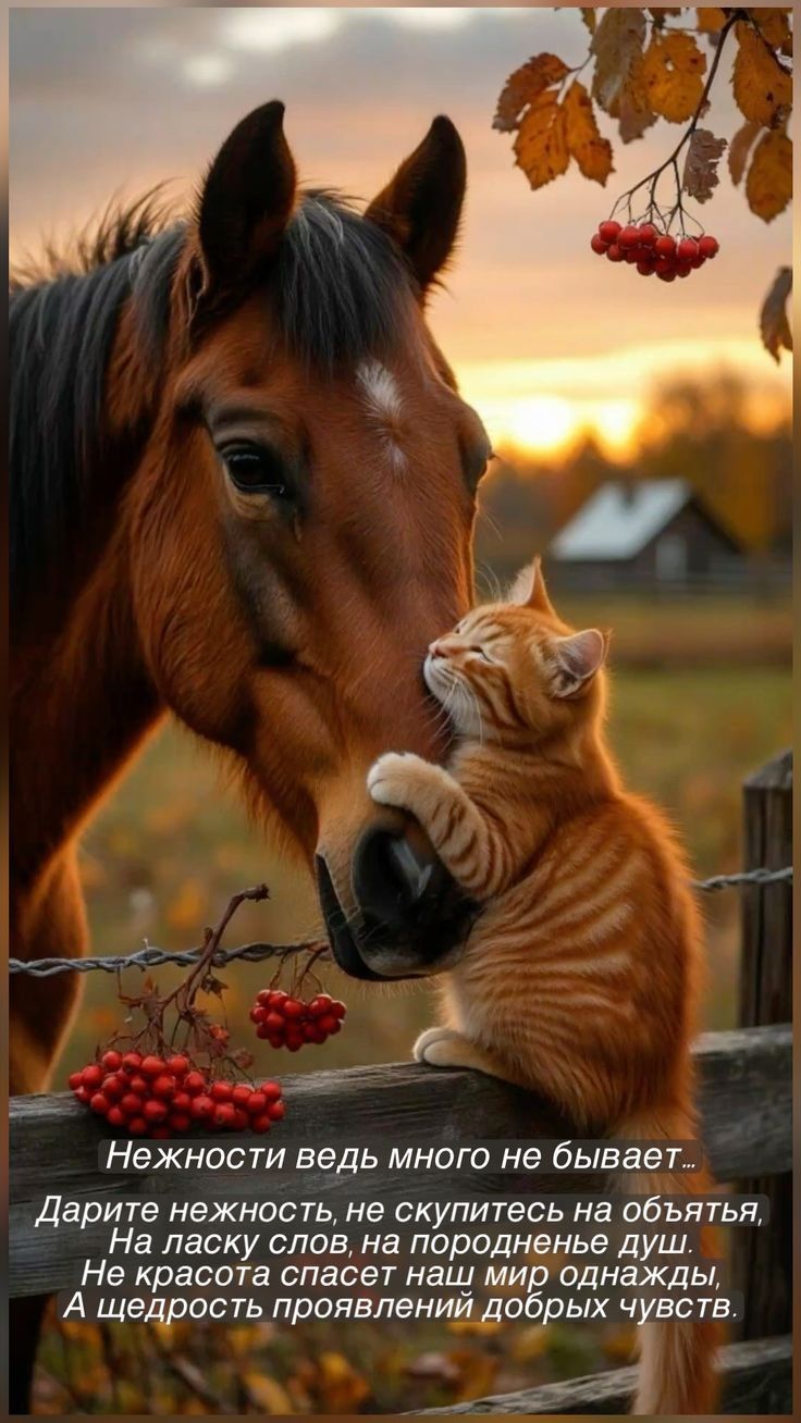 Нежности ведь много не бывает... Дарите нежность, не скупитесь на объятья, На ласку слов, на подаренные души. Не красота спасет наш мир однажды, А щедрость проявлений добрых чувств.