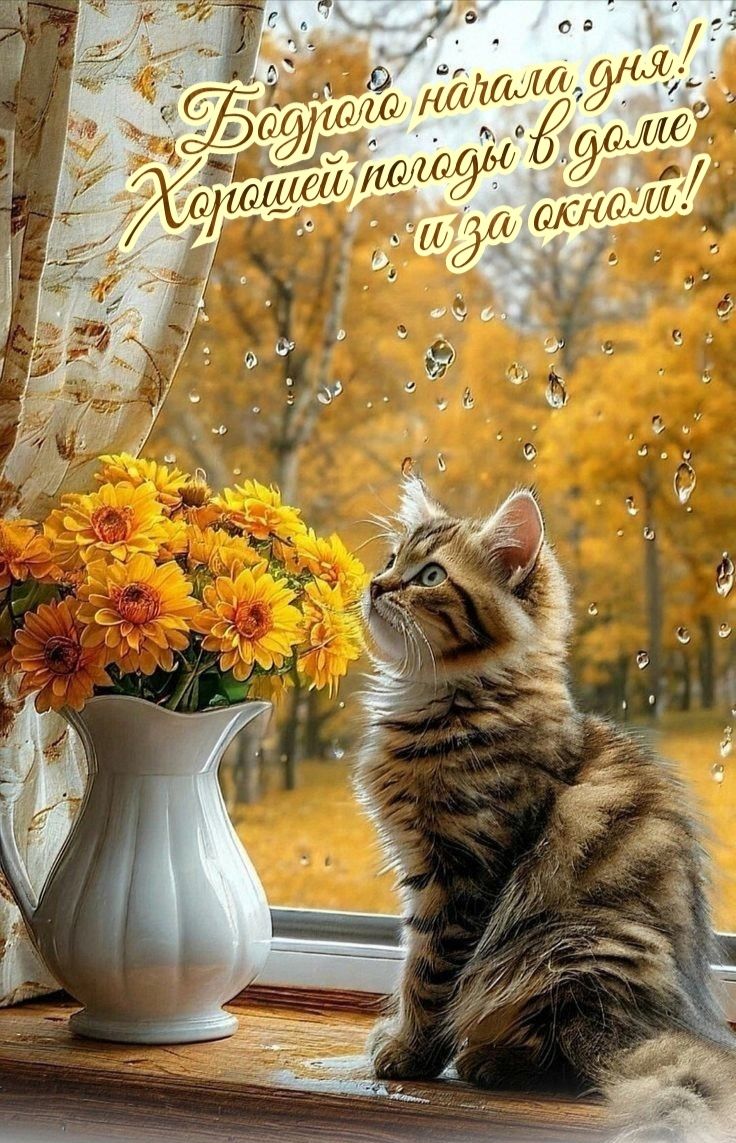 Доброе утро! Хорошей погоды в доме и за окном!