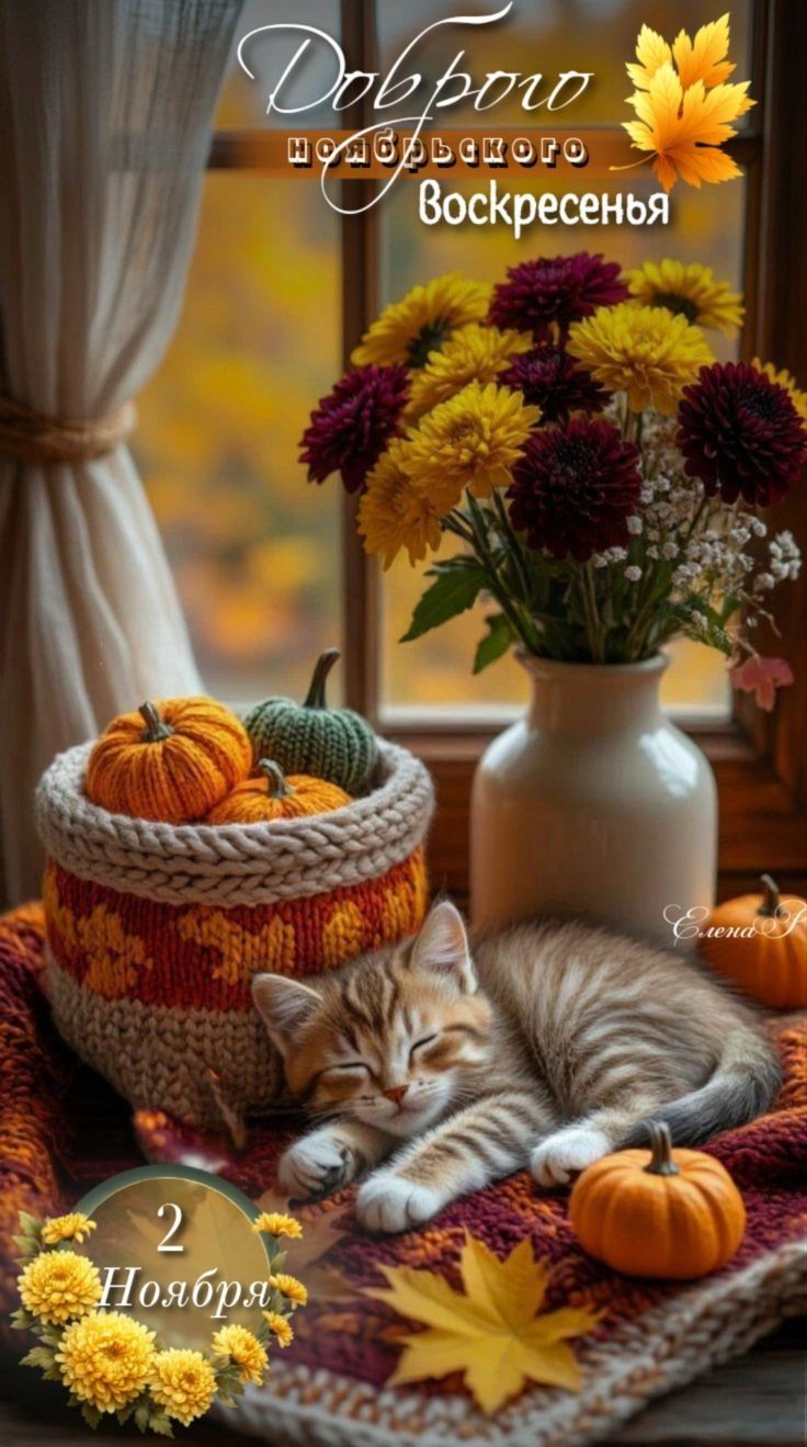 Доброго ноябрьского воскресенья. 2 Ноября