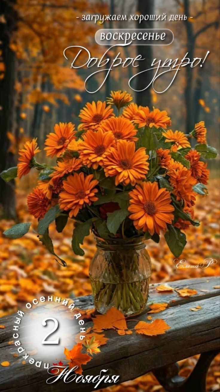 - загружаем хороший день - воскресенье Доброе утро! 2 ноября