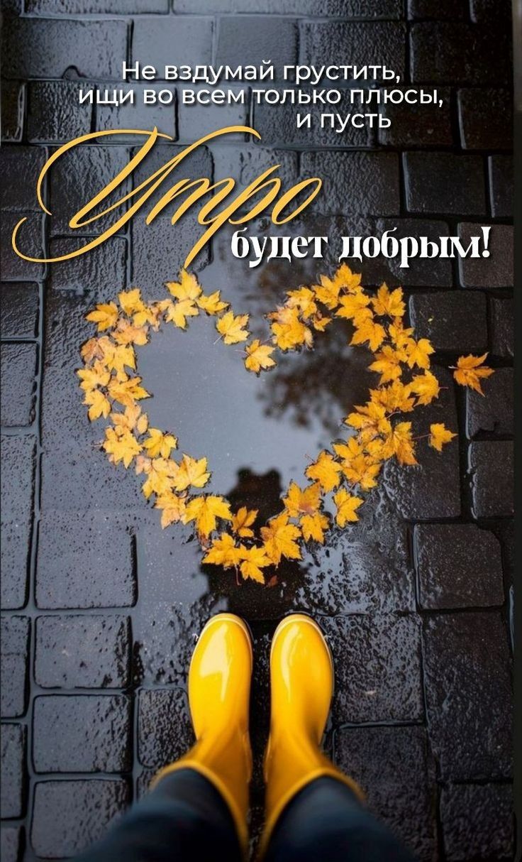 Не вздумай грустить, ищи во всем только плюсы, и пусть Утро будет добрым!