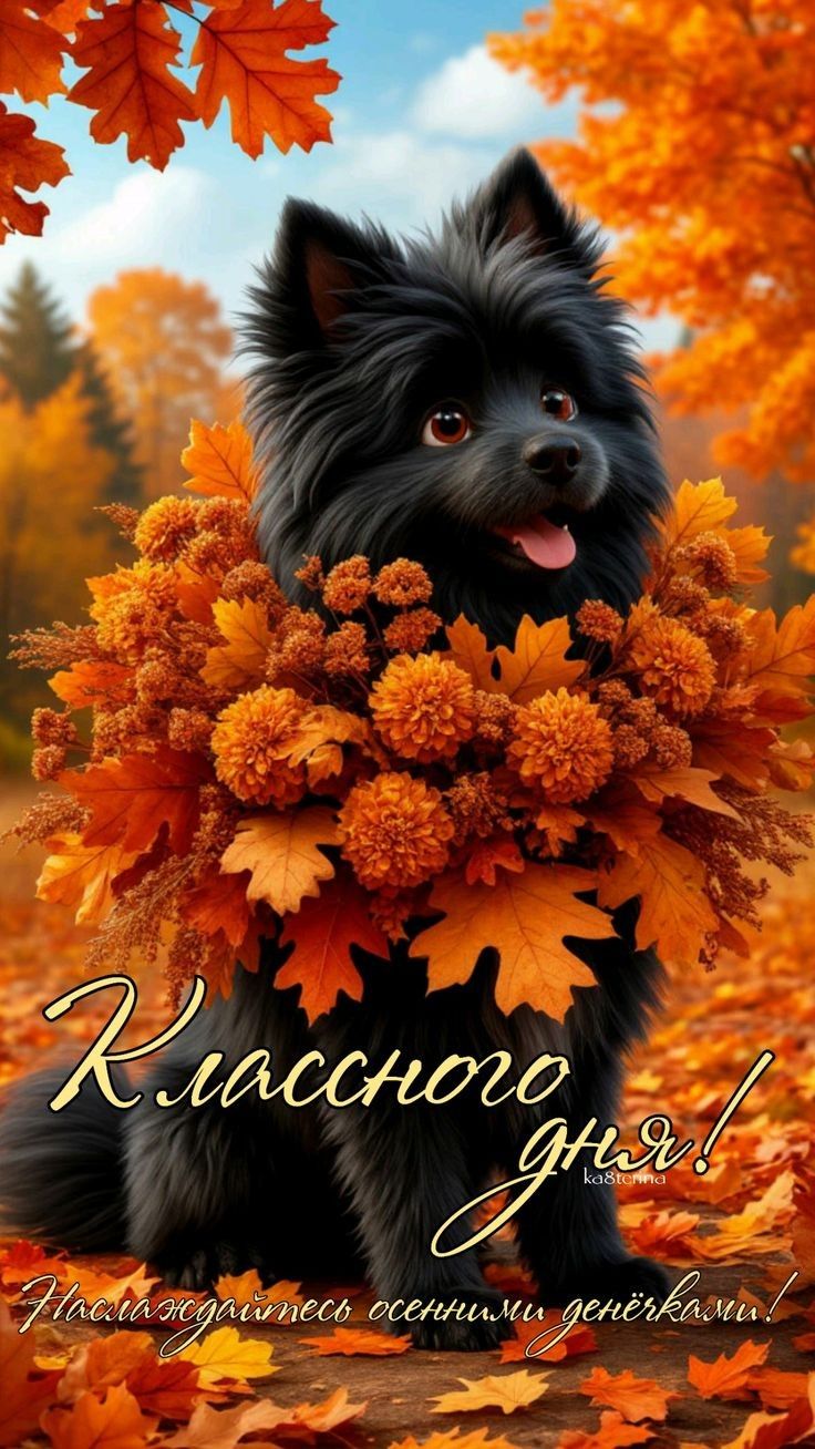 Классного дня! Наслаждайтесь осенними денёчками!