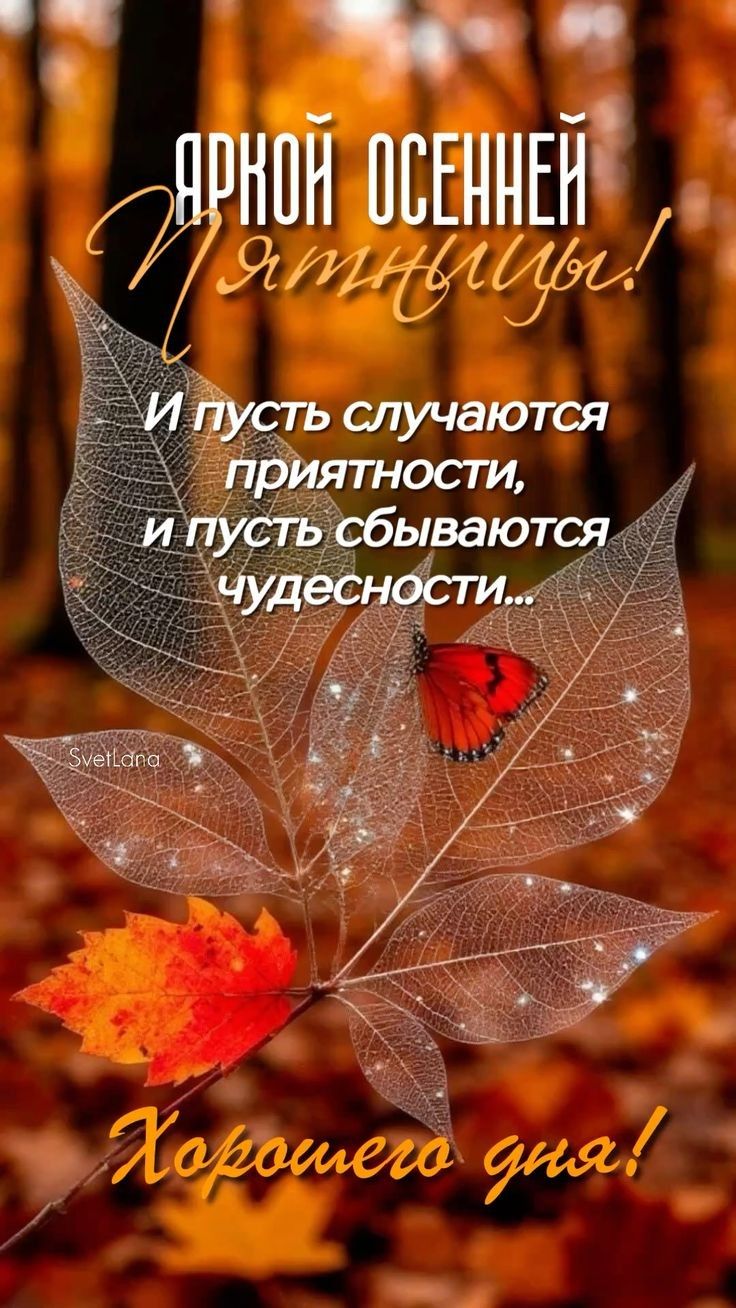 Яркой осенью пятницы! И пусть случаются приятности, и пусть сбываются чудесности... Хорошего дня!