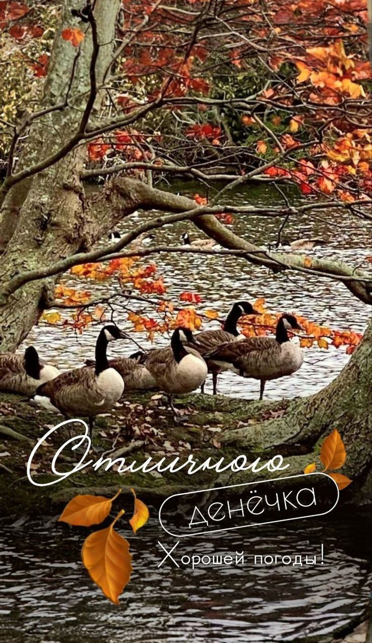 Отличного денечка Хорошей погоды!