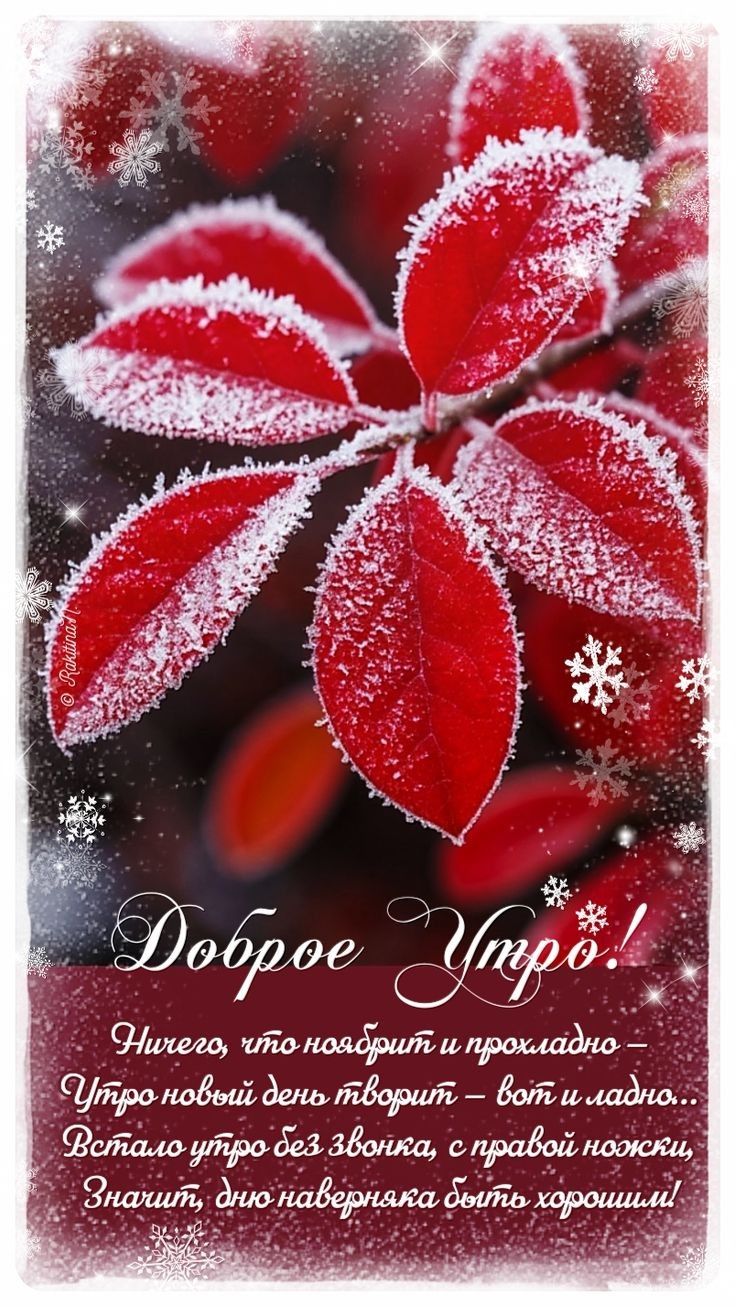 Доброе Утро! Ничего, что понадобится и прохладно — Утро нового дня творит — вот и ладно… Встаю утром без звонка, с правой ножкой, Значит, день наверняка быть хорошим!