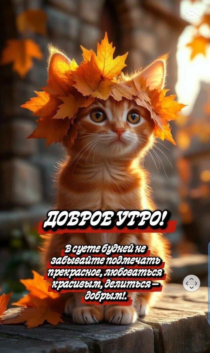 ДОБРОЕ УТРО! В суете будней не забывайте подчеркать прекрасное, любоваться красивым, делиться — добрым!