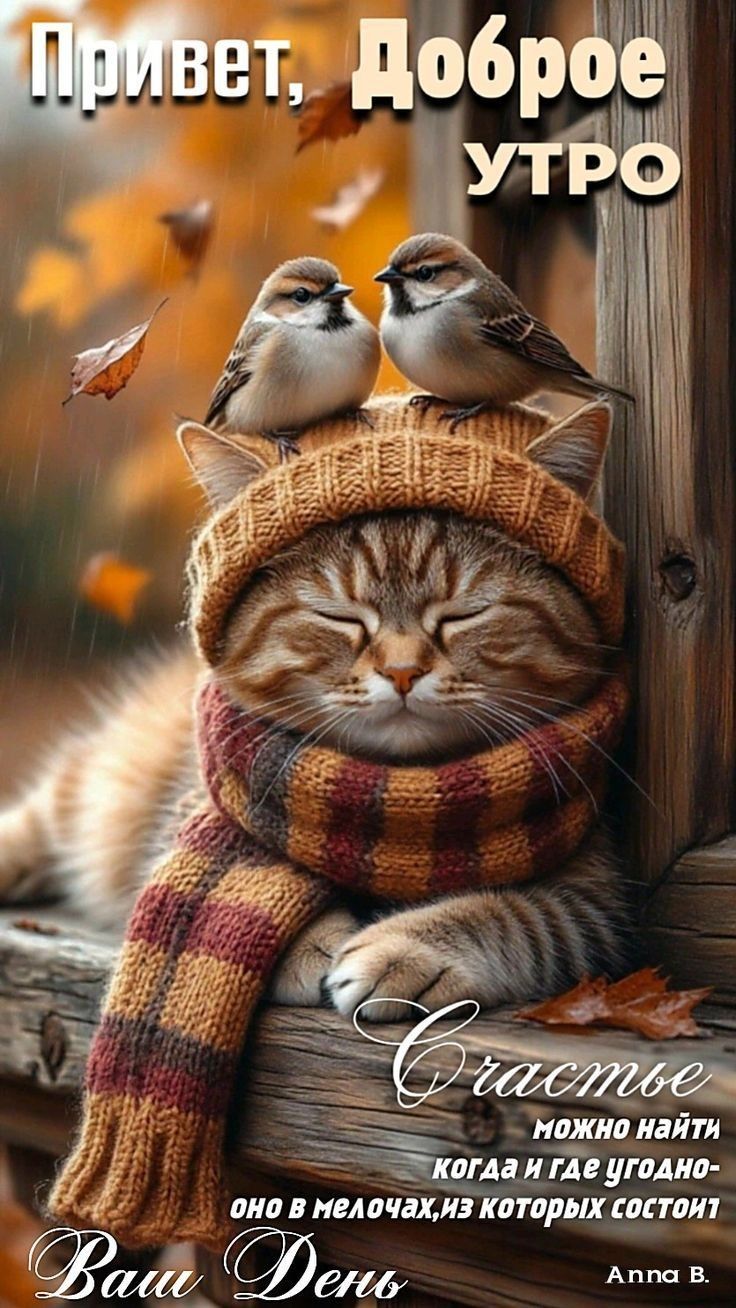 Привет, Доброе утро
Счастье можно найти когда и где угодно — оно в мелочах, из которых состоит Ваш день
Anna B.