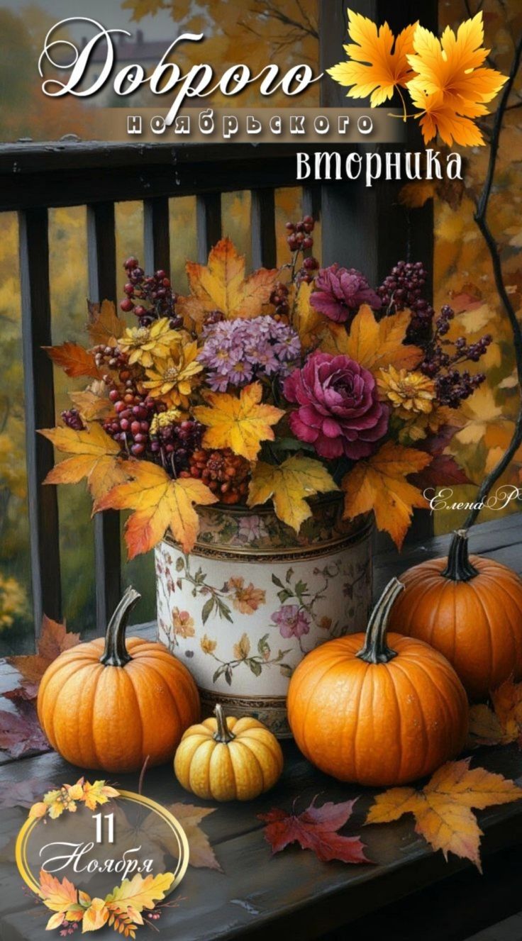 Доброю ноябрьского вторника
