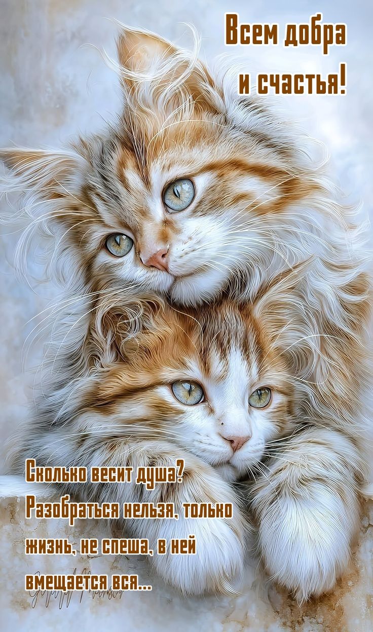 Всем добра и счастья!\nСколько весит душа? Разобраться нельзя, только жизнь, не спеша, в ней вмещается вся...