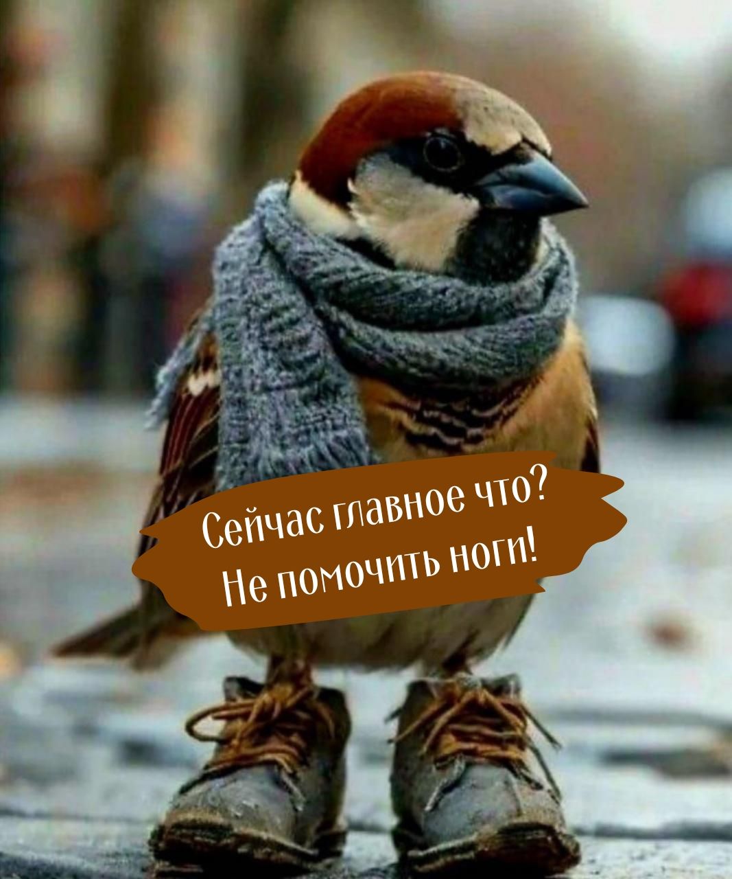 Сейчас главное что? Не помочить ногти!