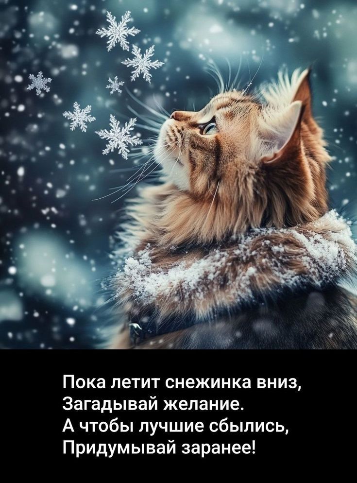 Пока летит снежинка вниз, Загадвай пожелание. А чтобы лучше sbылсь, Придумывай заранее!
