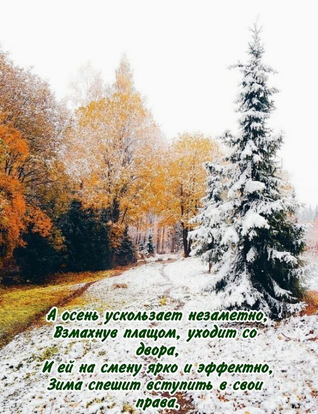 А осень усохает незаметно,
Взмахнув плащом, уходит со двора,
И ей на смену ярко и эффектно,
Зима спешит вступить в свои права.