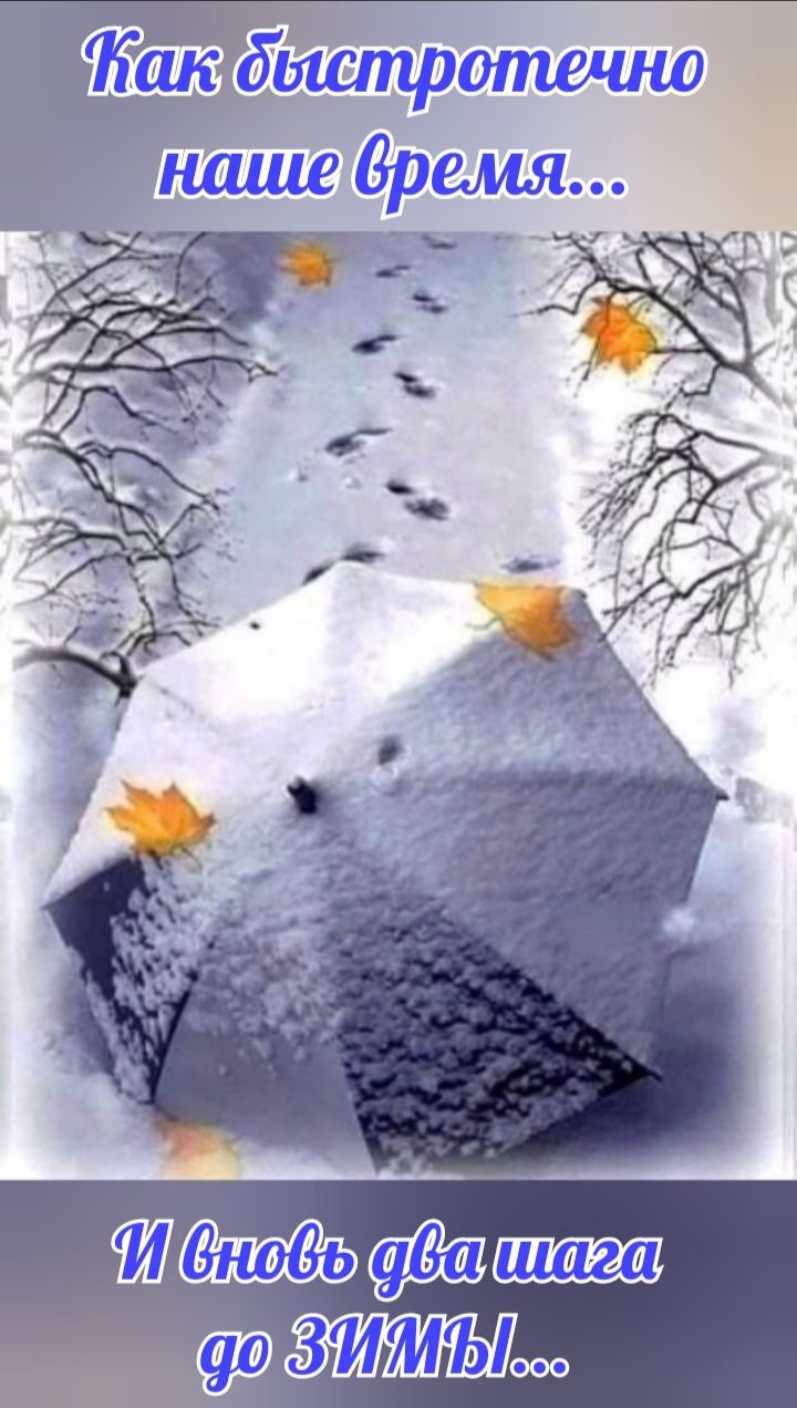 Как быстротечно наше время... И вновь два шага до ЗИМЫ...