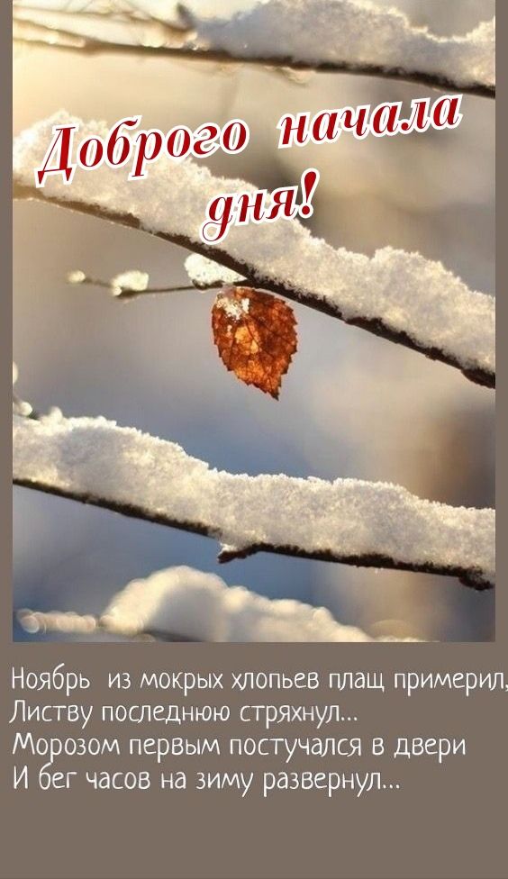 Доброго начала дня!
Ноябрь из мокрых хлопьев плащ примерил, Листву последнюю стряхнул... Морозом первым постучался в двери И бег часов на зиму развернул...