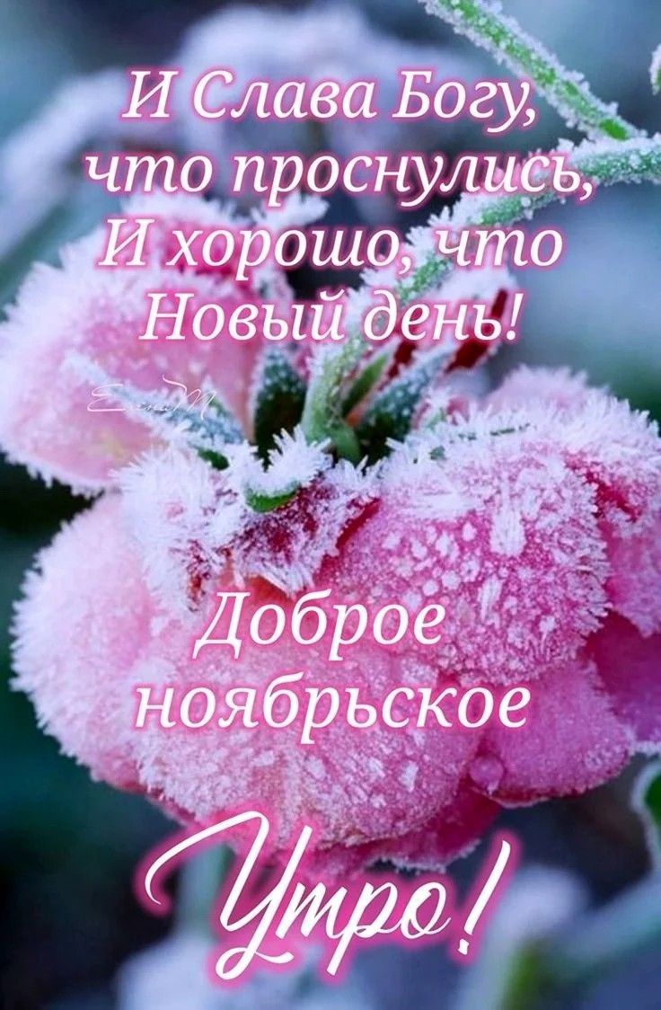 И Слава Богу, что проснулся, И хорошо, что Новый день! Доброе ноябрьское Утро!