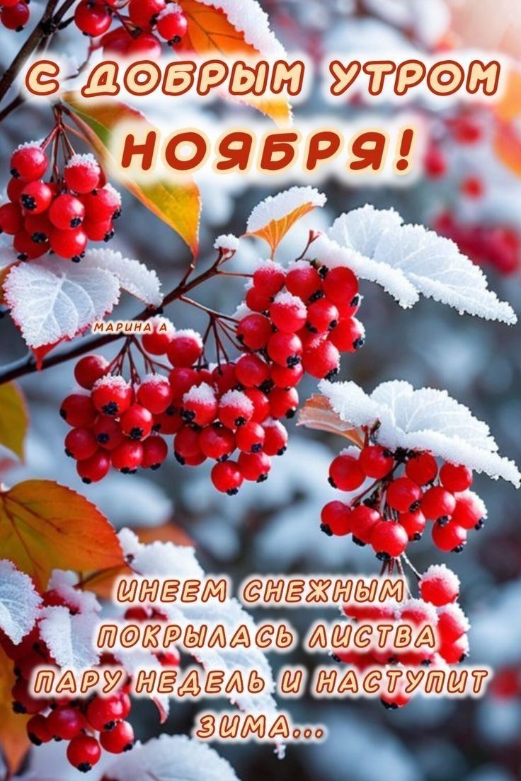 С ДОБРЫМ УТРОМ НОЯБРЯ! ИНЕМ СНЕЖНЫМ ПОКРЫЛИСЬ ЛИСТВА ПАРУ НЕДЕЛЬ И НАСТУПИТ ЗИМА...