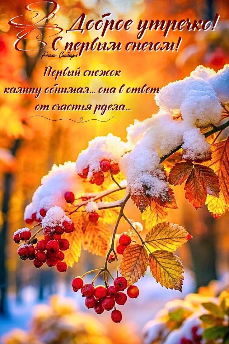 Доброе утречко! С привет снегом! Первый снежок калина обнял... она в ответ от счастья пела...