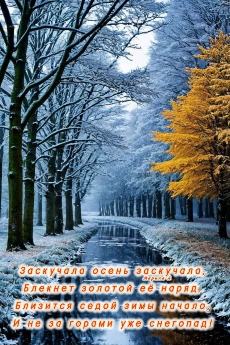 Заскучала осень заскучала, Блекнет золотой её наряд. Близится седой зимы начало И не за горами уже снегопад!