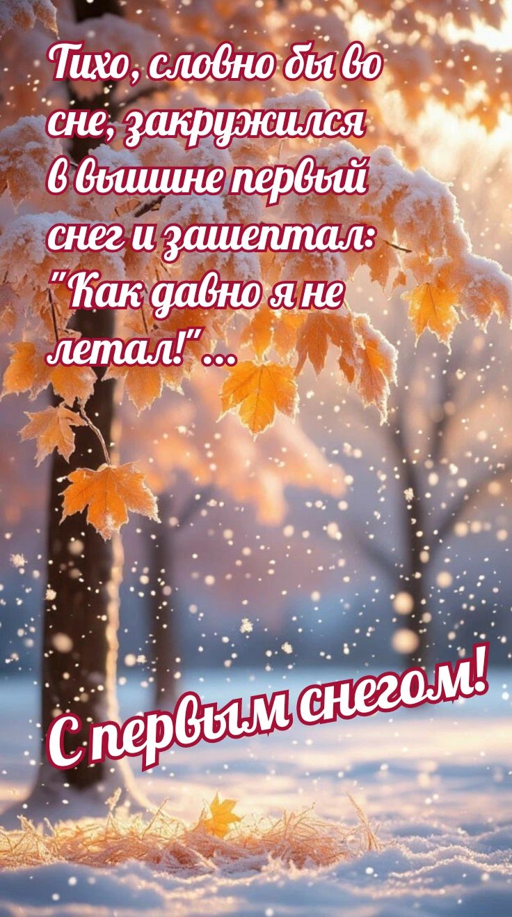 Тихо, словно бы во сне, закружился в вышине первый снег и зашептал: 