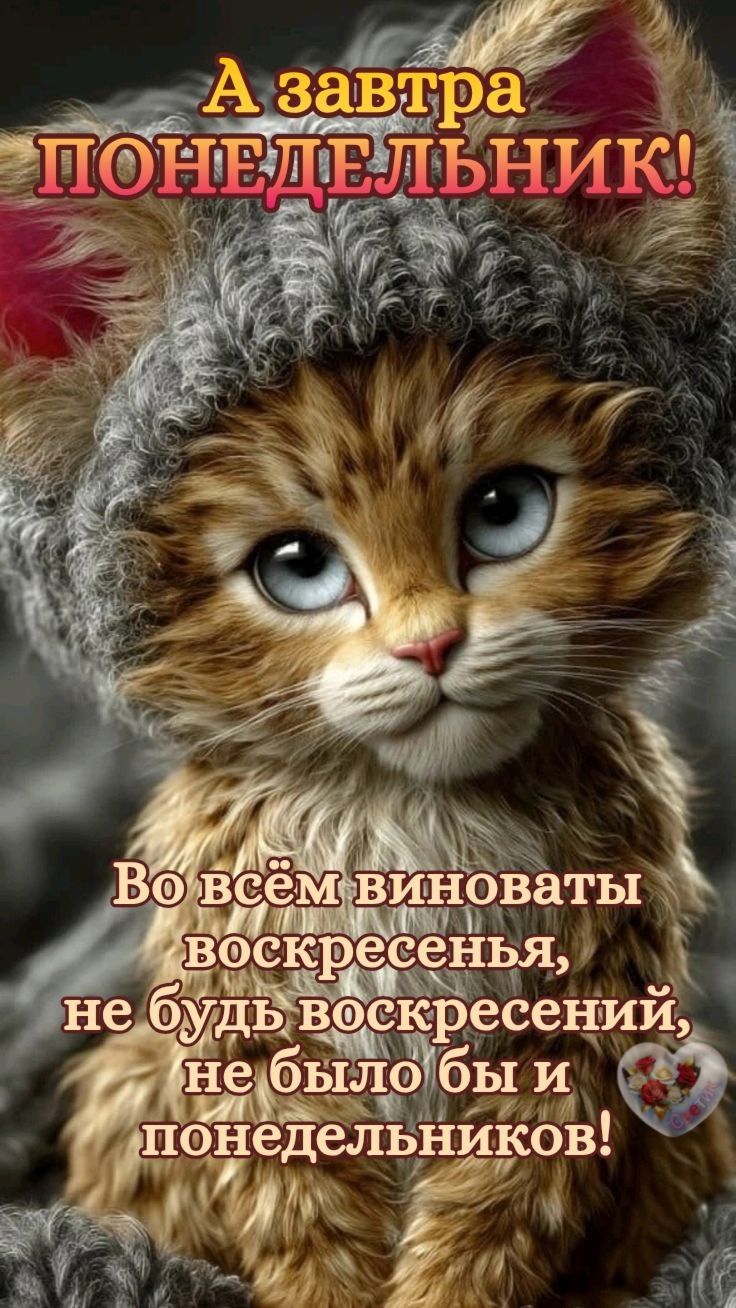 А завтра ПОНЕДЕЛЬНИК! Во всём виноваты воскресенья, не будь воскресений, не было бы и понедельников!