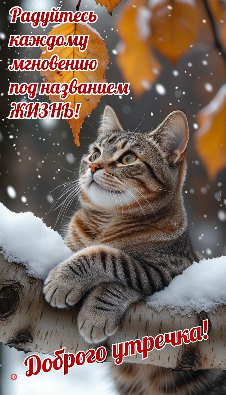 Радуйтесь каждому мгновению под названием жизнь! Доброго утра!