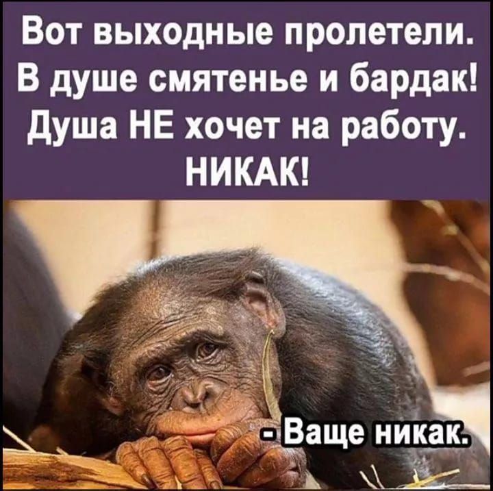 Вот выходные пролетели. В душе смятенье и бардак! Душа НЕ хочет на работу. НИКАK! (НИКАК!)