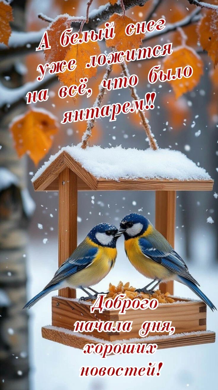 А белый снег уже ложится на всё, что было янтарем!! Доброго начала дня, хороших новостей!