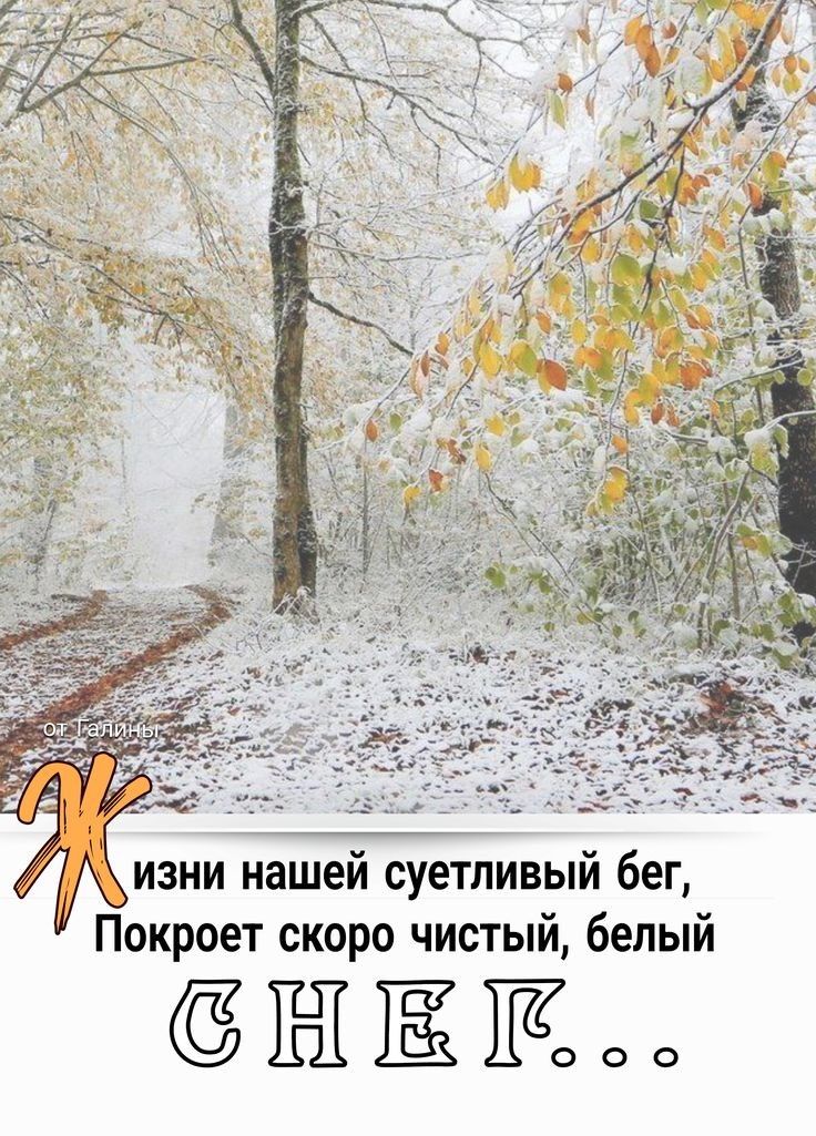 Изни нашей суетливый бег, Покроет скоро чистый, белый снег...