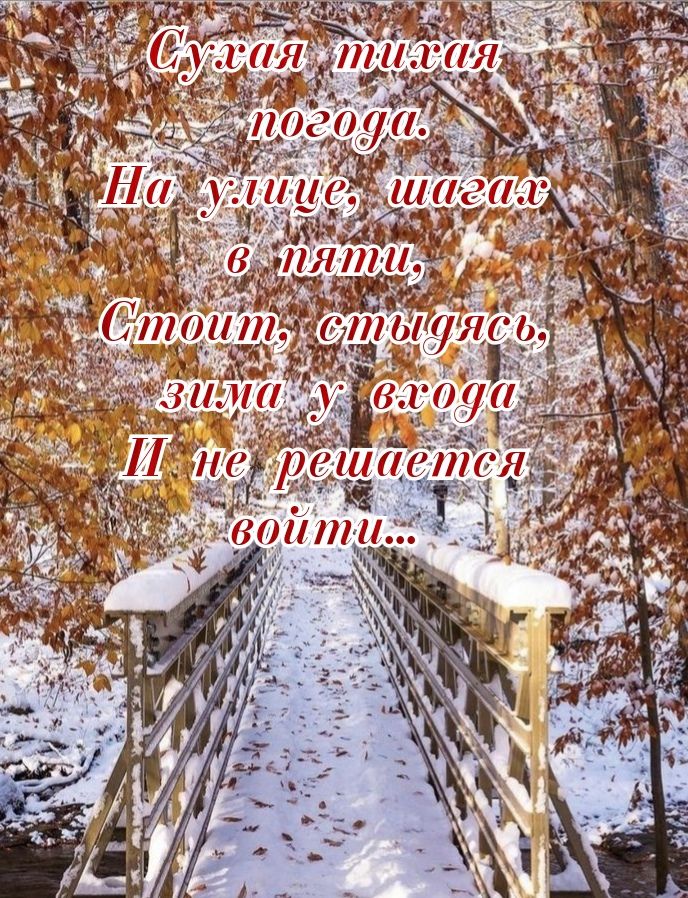 Сухая тихая погода. На улице, шагая в пять, Стоит, стыдясь, зима у входа И не решается войти...