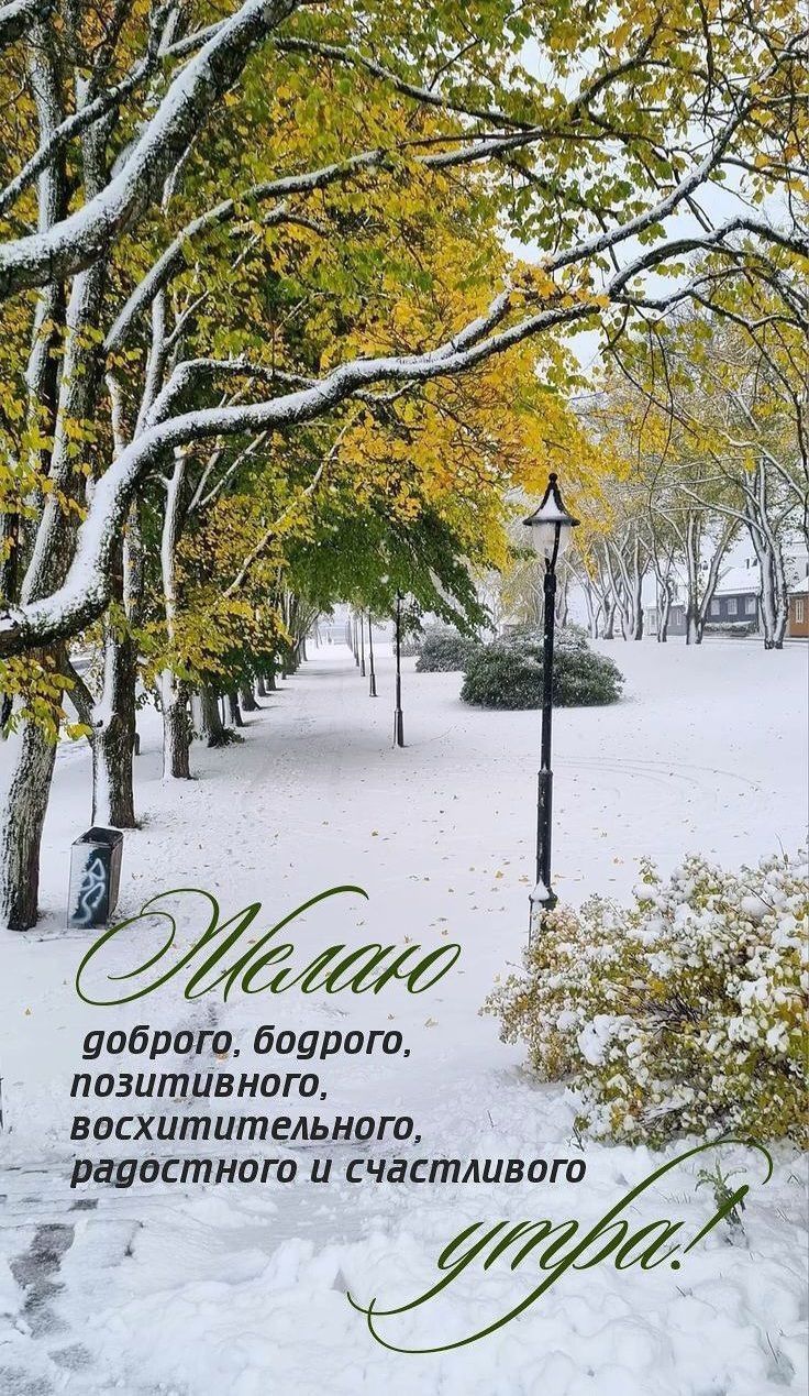 Желаю доброго, бодрого, позитивного, восхитительного, радостного и счастливого утра.